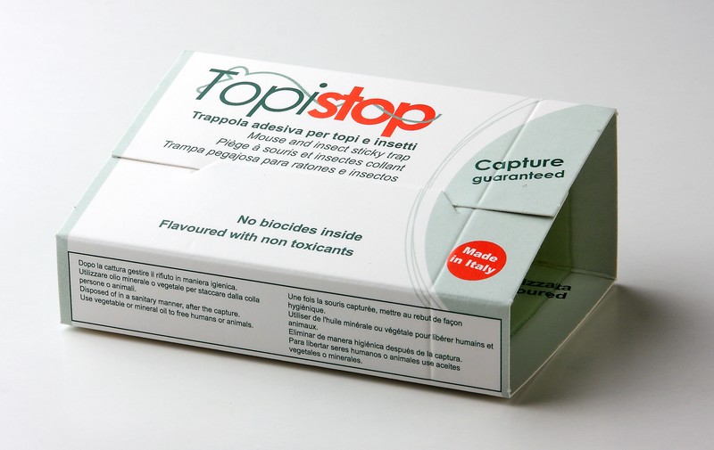 Plaques Glue souris – x10